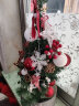 蒂诗卡 圣诞树圣诞装饰品圣诞节礼物小型套餐高档商场布置豪华加密型 60CM豪华小圣诞树 实拍图