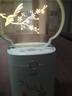 engue恩谷迷你加濕器  創(chuàng  )意旅行辦公禮品 USB空氣加濕器 EG-026花漾加溫器 曬單實(shí)拍圖