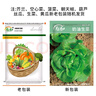 壽禾 蔬菜種子種苗秋季菠菜香菜黃心烏蘇州青 冬季6種蔬菜種子大全 曬單實拍圖