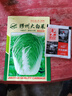 38斤越冬大白菜種子山東大白菜種籽大白菜種子抗病多葉白菜 原裝1包(約100粒) 38斤冬儲大白菜種子 曬單實(shí)拍圖
