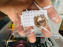 明牌珠寶七夕禮物雙色18K金工藝彩金摩登時(shí)代耳飾簡(jiǎn)約時(shí)尚送禮CSH0305定價(jià) 18K金紅色 約3.90-4.16克 曬單實(shí)拍圖