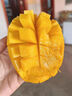 京配嘉果云南新鮮鷹嘴芒甜心芒尖嘴芒黃皮熱帶應季水果樹(shù)上熟整箱 2斤優(yōu)選裝 曬單實(shí)拍圖