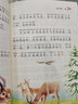 森林報(bào)春夏秋冬全四冊 彩圖注音版 美繪版（自選） 兒童文學(xué)6-12歲兒童故事書 一二年課外閱讀書籍全套 森林報(bào)春夏秋冬全四冊 （彩圖注音版） 曬單實(shí)拍圖
