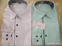 伯曼男裝春男士商務(wù)休閑純色長(cháng)袖襯衫抗皺長(cháng)袖襯衣職業(yè)男工作服襯衣男 BAM15133-冰綠色斜紋拉絲無(wú)口袋 39 曬單實(shí)拍圖