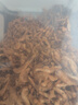 共度（Gong Du）南極磷蝦銀龍魚飼料血鸚鵡魚熱帶魚魚食薄片豐年蝦凍魚干龜糧飼料 南極磷蝦 4L（350g） 曬單實拍圖