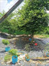 皓鑫防草布土工布除草布園藝地布果園果樹(shù)遮草蓋草布防草地布透氣透水 0.4米寬200米長(cháng) 曬單實(shí)拍圖