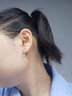 榛橙足銀星星愛(ài)心耳釘女流蘇仙氣甜美鋯石足銀耳墜百搭心形小眾耳飾 S999星星鋯石心形耳釘E23 曬單實(shí)拍圖