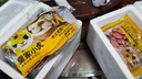 皇家小虎嵊州風(fēng)味手工老面小籠包2斤/約40個(gè) 早餐包子半成品食品 源頭直發(fā) 曬單實(shí)拍圖