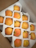 趣覓鮮鞍山南果梨香水梨子禮盒裝正宗東北特產(chǎn)南國梨子紅皮新鮮水果 5斤帶箱紅果30個左右 曬單實拍圖