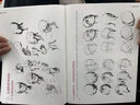 跟我畫(huà)素描人像頭像4冊臨摹書(shū)籍畫(huà)冊人物結構真人畫(huà)像寫(xiě)生五官肌肉骨骼頭骨零基礎手繪畫(huà)畫(huà)教程入門(mén)美術(shù)自學(xué)賴(lài)小明國美高考解剖 跟我畫(huà)頭像骨骼 曬單實(shí)拍圖