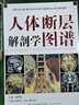 人體斷層解剖學(xué)圖譜 山東科學(xué)技術(shù)出版社 劉樹(shù)偉 著(zhù) 新華正版書(shū)籍包郵 曬單實(shí)拍圖