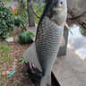 迎科進(jìn)口高端東麗原絲名牌魚(yú)線(xiàn)正宗主線(xiàn)子線(xiàn)海桿路亞拋竿超柔軟品牌線(xiàn) 0.4號 湖藍色220米自帶出線(xiàn)孔方便上線(xiàn) 曬單實(shí)拍圖