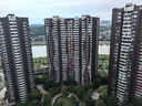 鮮京采 鮮凍大號黑虎蝦 去冰凈重2斤 31-40只/盒 斑節對蝦 曬單實(shí)拍圖