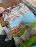 羊食光羊肉生鮮新鮮現(xiàn)殺羊蝎子4斤羊排羊腿手把肉燒烤食材生鮮年貨禮盒 羊整后腿5斤 曬單實拍圖