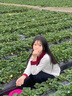 矜持范針織衫女春秋上衣設(shè)計(jì)感小眾2025年新款娃娃領(lǐng)撞色小個(gè)子短款開(kāi)衫 白色 均碼 曬單實(shí)拍圖