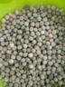 鳳鳴雅世荷蘭豆種籽種子四季蔬菜種子農(nóng)家蔬菜種籽珍寶荷蘭豆種子250克 曬單實(shí)拍圖