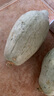 沐小七果蔬新疆貴族南瓜應季現摘 蔬菜寶寶助食貝貝銀栗 金絲板栗味老南瓜 5斤裝【精挑品質(zhì)】 曬單實(shí)拍圖