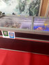 法臣（FACHEN）超市組合島柜冷凍展示柜冰柜商用臥式玻璃門速凍冰箱海鮮水餃豬肉冷柜 海容款島柜（不化霜）2.1米 曬單實拍圖