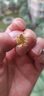 周生生人間小仙花黃金耳釘 足金生生有囍鏤空花蕊耳飾 95305E定價 曬單實拍圖