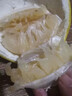 趣覓鮮江永香柚純甜沙田柚湖南永州特產(chǎn)正宗農家老樹(shù)柚子白肉新鮮水果 2個(gè)大果禮盒裝4.5斤 曬單實(shí)拍圖