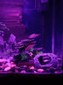森淵魚缸水族龜缸龜窩魚蝦陶瓷躲避洞造景裝飾品躲避罐蝦窩蝦罐小擺件 808桶 曬單實拍圖