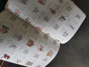 金枝葉幼兒學前識字1500字幼兒園大班啟蒙象形看圖認字書教材3-6歲早教啟蒙 象形識字書【1500字】 曬單實拍圖