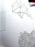 初學(xué)者之友：白描禽鳥 曬單實(shí)拍圖