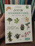 【包郵】常見樹木圖鑒 500種常見園林植物識別圖鑒 500種常見花卉識別圖鑒 209種常見花草圖鑒 190種多肉植物圖鑒 美麗的樹發(fā)現(xiàn)之旅 植物學家的筷子和銀針 (3冊)定價184 曬單實拍圖