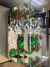 森森（SUNSUN）鱼缸小型水族箱热弯超白玻璃生态金鱼缸办公桌水草缸 长50cm热弯超白缸+灯+过滤器+水溶/溪流石景 实拍图