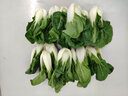 東升【39.9選4】有機小白菜250g 有機蔬菜 火鍋食材 廣東源頭直發(fā) 曬單實(shí)拍圖