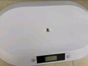 小白秤小白秤寵物專用體重秤大型狗狗貓咪稱重器家用小動(dòng)物寵物店精準(zhǔn) 40斤中小型寵物升級(jí)款白色【升級(jí)款】 曬單實(shí)拍圖