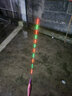 黃金眼蘆葦電子漂高靈敏日夜兩用夜光漂醒目組合浮漂夜釣鯽魚(yú)鯉魚(yú)草魚(yú)標 黃金眼蘆葦電子漂DL-09(CR425) 1號一支 曬單實(shí)拍圖