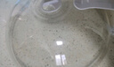 歐橡（OAK）微波爐加熱蓋專用器皿 微波爐蓋子防濺蓋保溫菜罩微波爐罩 C887 曬單實拍圖