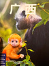 LP廣西--孤獨(dú)星球Lonely Planet旅行指南系列-廣西(第三版） 曬單實(shí)拍圖
