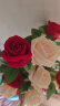 盛世泰堡仿真玫瑰花手感保湿假花仿生花装饰花束插花客厅摆件大红玫瑰*10 实拍图