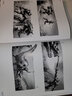 英文原版 變形金剛 視覺(jué)歷史設定集藝術(shù)畫(huà)冊 Transformers: A Visual Histo 曬單實(shí)拍圖