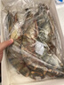 樂(lè )鱘匯生鮮 大蝦 特大黑虎蝦 大龍蝦 蝦仁 鮮活生凍海鮮大禮包食材年貨 10頭黑虎蝦+1斤銀鱈魚(yú) 900g(凈重) 曬單實(shí)拍圖