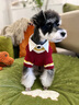 ISPET寵物衣服秋冬裝毛衣泰迪比熊小型犬柴犬西高地長毛領開衫毛衣 藍色 L 建議體重10-16斤 曬單實拍圖