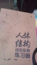 人體結構動(dòng)態(tài)臨摹練習冊 30天打卡 動(dòng)漫練習冊 漫畫(huà)人物繪畫(huà) 動(dòng)漫繪畫(huà)教程速寫(xiě)動(dòng)態(tài)漫畫(huà)描摹本 （單本）人體結構動(dòng)態(tài)臨摹練習冊 曬單實(shí)拍圖