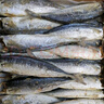 巴浪魚干小魚干新鮮福建特產(chǎn)無頭新貨秋刀魚干小提魚咸魚干批發(fā) 1500g 新貨 干度好+出口品質(zhì) 曬單實拍圖