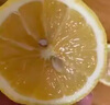 uncle lemon四川安岳特產(chǎn)黃檸檬新鮮水果多汁奶茶店榨汁切片泡茶產(chǎn)地直供 三級果(果面有瑕疵,性價比高) 3斤實惠裝 曬單實拍圖