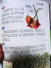 我的第一套百科全書(shū)：植物世界（16開(kāi)四色平裝 彩圖注音版） 曬單實(shí)拍圖