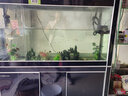 森森 魚(yú)缸水泵 水族箱過(guò)濾泵循環(huán)過(guò)濾 三合一潛水泵 增氧抽水養殖用品 JP-1500G配120-150cm魚(yú)缸45W 曬單實(shí)拍圖