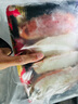 海樸帝王蟹腿750g團(tuán)購(gòu)禮盒裝肉厚飽滿家庭聚餐節(jié)日送禮S 750g/盒 曬單實(shí)拍圖