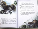 楊紅櫻畫(huà)本科學(xué)童話系列（森林謎案等全6冊(cè)）小學(xué)生三四五六年級(jí)課外書(shū)老師推薦經(jīng)典書(shū)目 曬單實(shí)拍圖