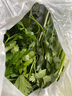 槿饈新鮮意大利芹500g 歐芹香芹法國香菜 巴西里香料 新鮮歐芹250g 曬單實拍圖