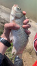 川澤輕口小碎目鯽魚漂高靈敏納米浮漂超靈敏醒目浮標防風浪走水頓口漂 DF-05 (1號) 吃鉛1克 葫蘆型 靈/穩(wěn)/準 曬單實拍圖