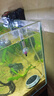 優(yōu)乾圖 魚(yú)缸加熱棒自動(dòng)恒溫不銹鋼防爆養(yǎng)魚(yú)專(zhuān)用水族箱加溫?zé)釒~(yú)加溫器 不銹鋼加熱棒300w【保護(hù)套+吸盤(pán)】 曬單實(shí)拍圖