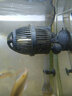 森森魚(yú)缸造浪泵水族箱造流泵魚(yú)缸潛水循環(huán)沖浪泵吸盤(pán)磁鐵造流 JVP 101 曬單實(shí)拍圖
