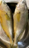海名威三去大黃魚新鮮速凍鮮活海魚斤寧德小黃魚海鮮深海大黃魚清蒸黃魚 三去黃花魚400g*1份 曬單實(shí)拍圖